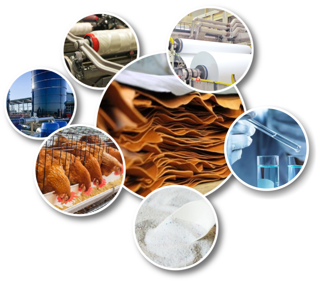 Enzyme Manufacturers Best Enzyme Manufacturers & Suppliers