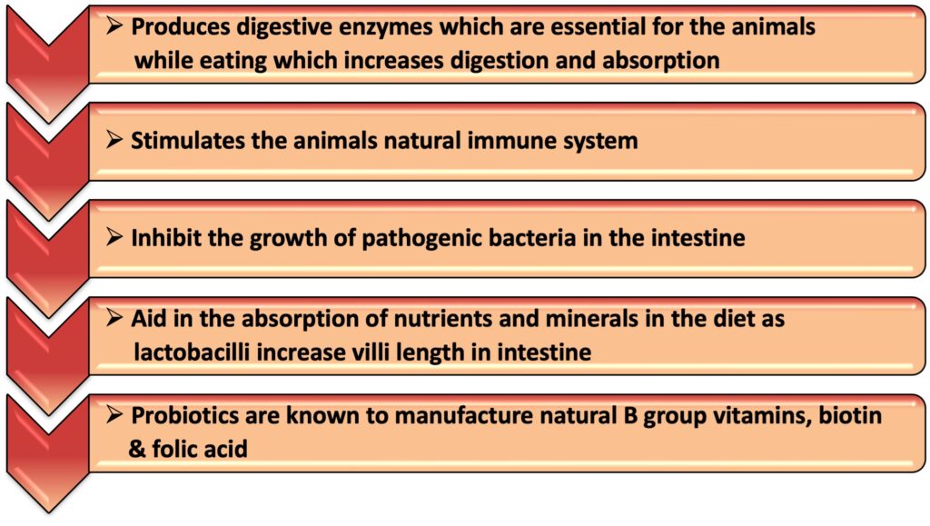  - Tex Biosciences 